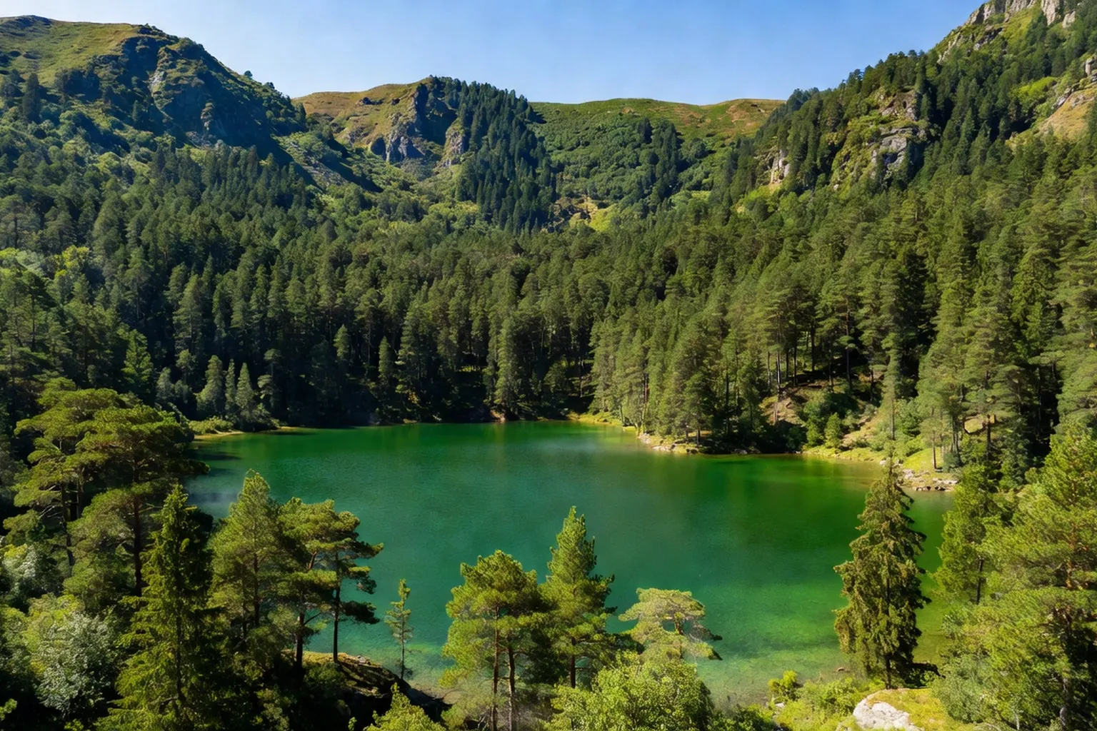 Lac Synevyr dans les Carpates ukrainiennes, eau turquoise entouree de sapins